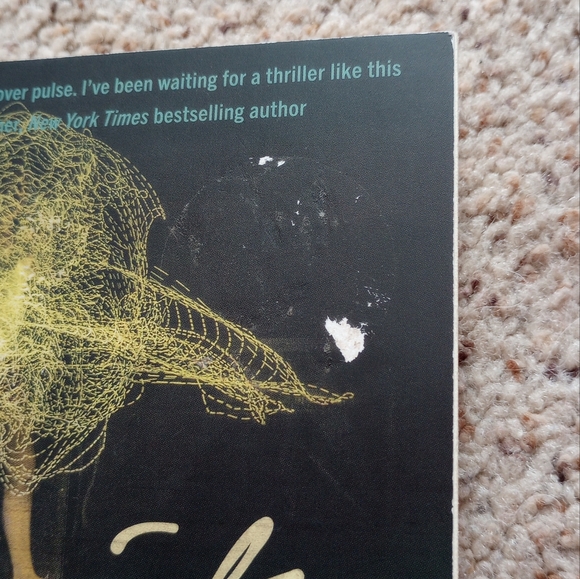 Verity Regretting You Heart of Bones Too Late It Ends With Us Lot Of Books - Picture 4 of 12